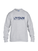 CrossFit Lividum KIDS Sweater