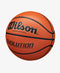 Wilson Evolution Game Basketball