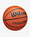 Wilson Evolution Game Basketball