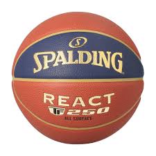 Spalding indoor & outdoor TF250 LNB