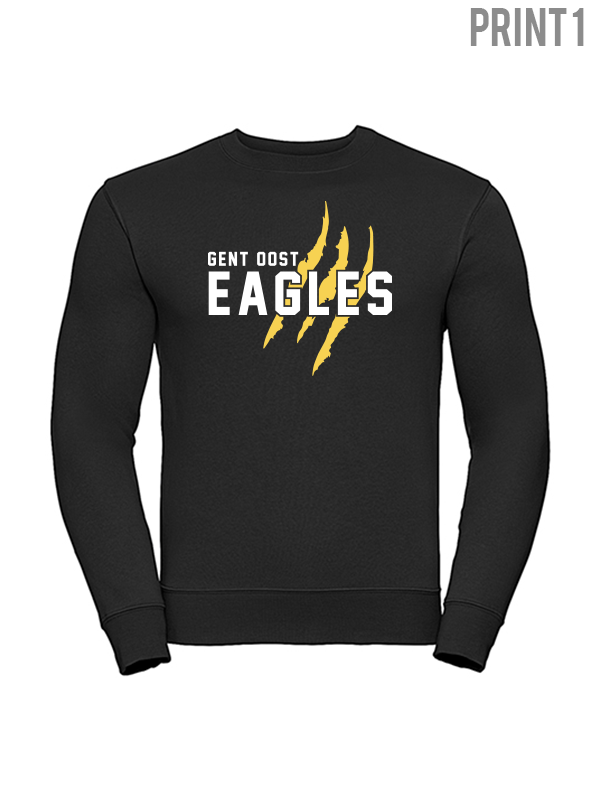 EAGLES Sweater (NEW Various Designs)