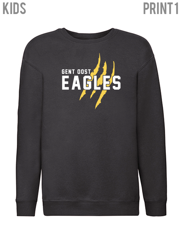 Kids hot sale eagles sweatshirt