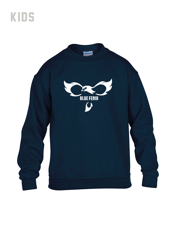 Blue Fenix Sweater - Kids