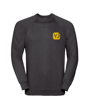 Yellow Jersey Raglan Sweater
