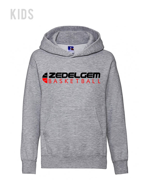 Diensten aan huis Zedelgem Lions Hoodie Kids Grijs