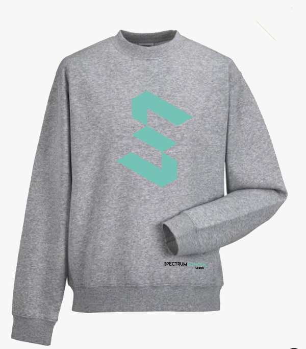 Spectrumschool Sweater Grijs Jeugd 9 jaar tot 14 jaar