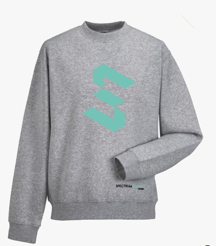 Spectrumschool Sweater Grijs Jeugd 9 jaar tot 14 jaar
